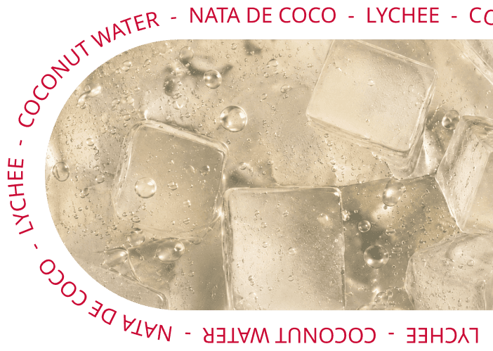 Lychee, nata de coco and coconut natee ice cubes
