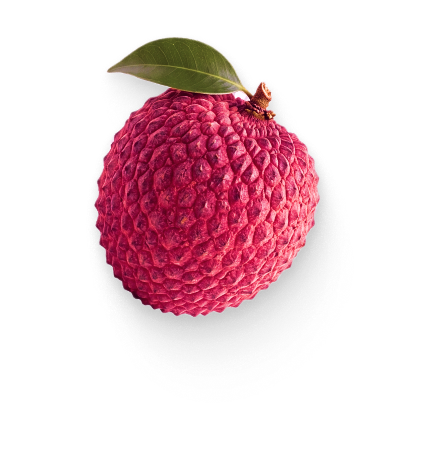 Fresh lychee fruit